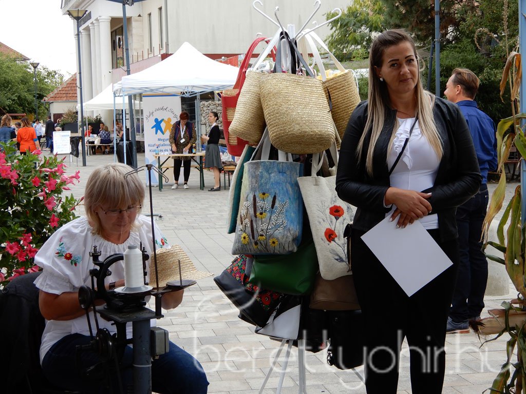 Helyi Értékek Startja 73